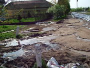 2006